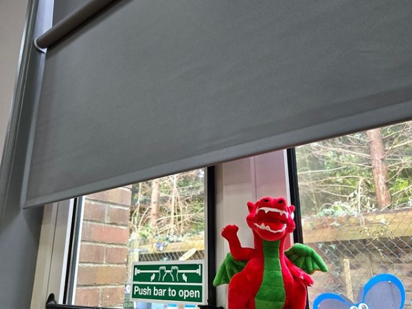 Dragons Roller Blinds
